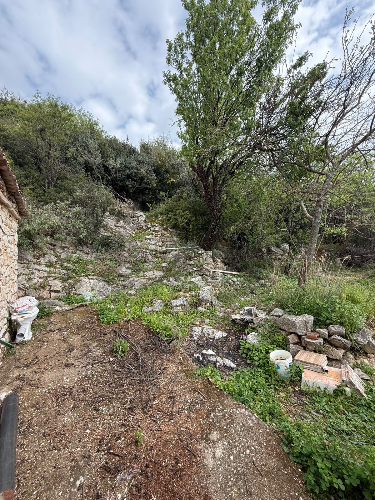 Himara investment (5)