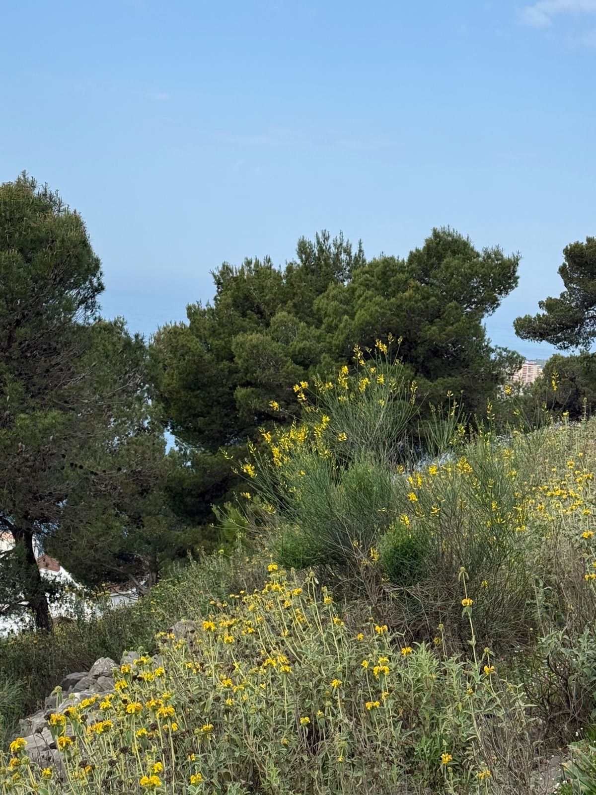 Coastal opportunity (3)