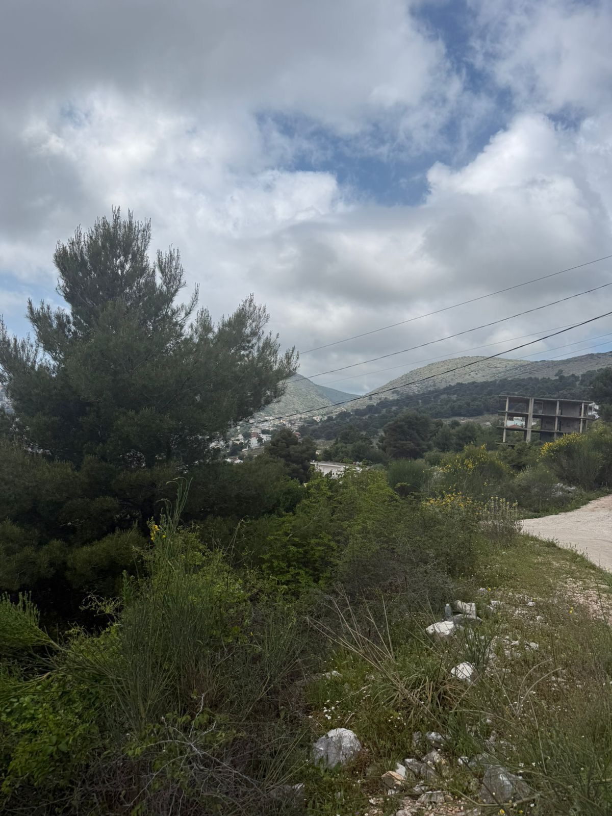 Seaview landscape (4)