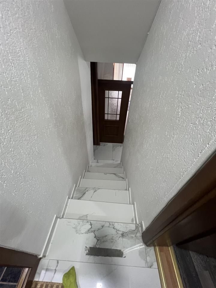 Dardani (5)