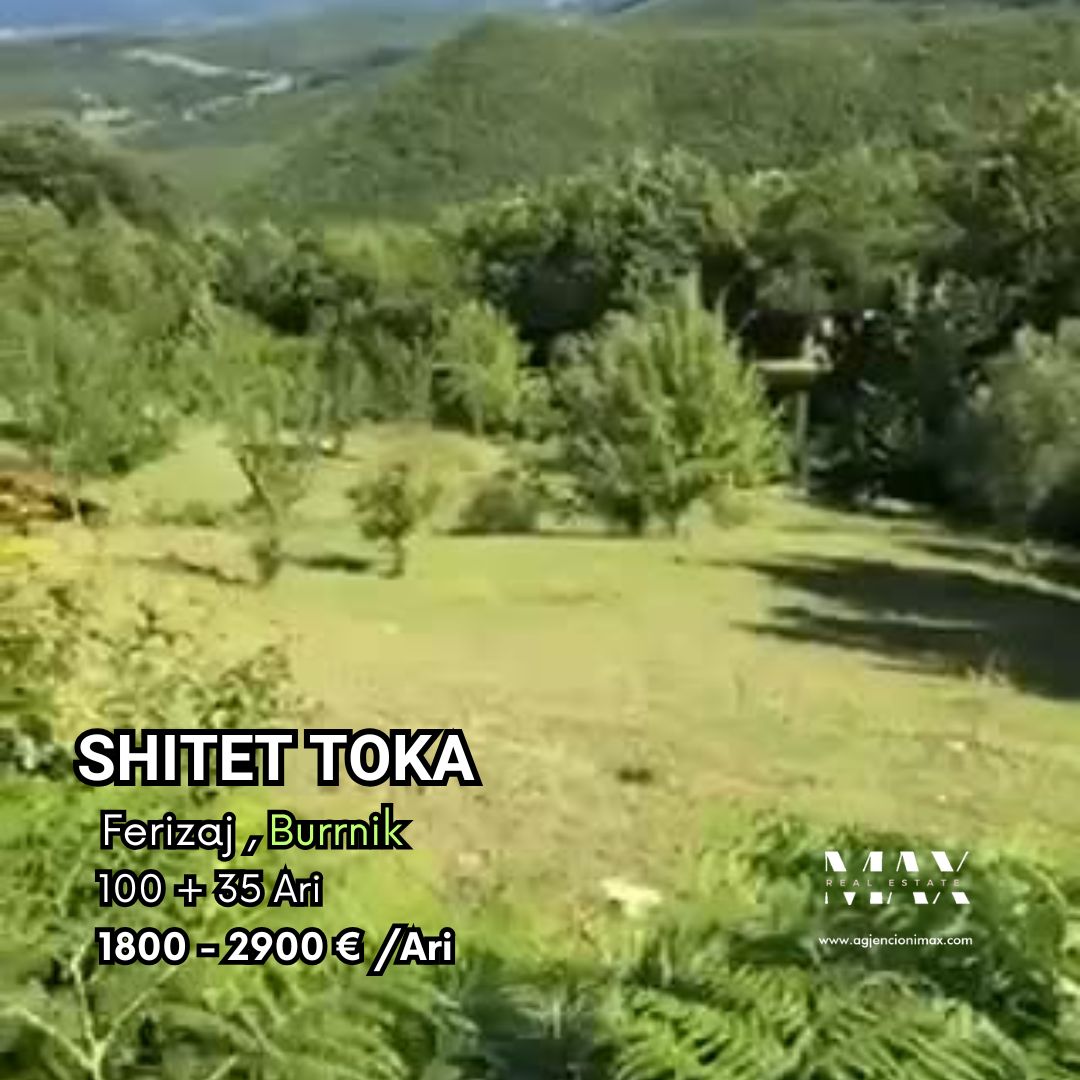 Ferizaj, burrnik