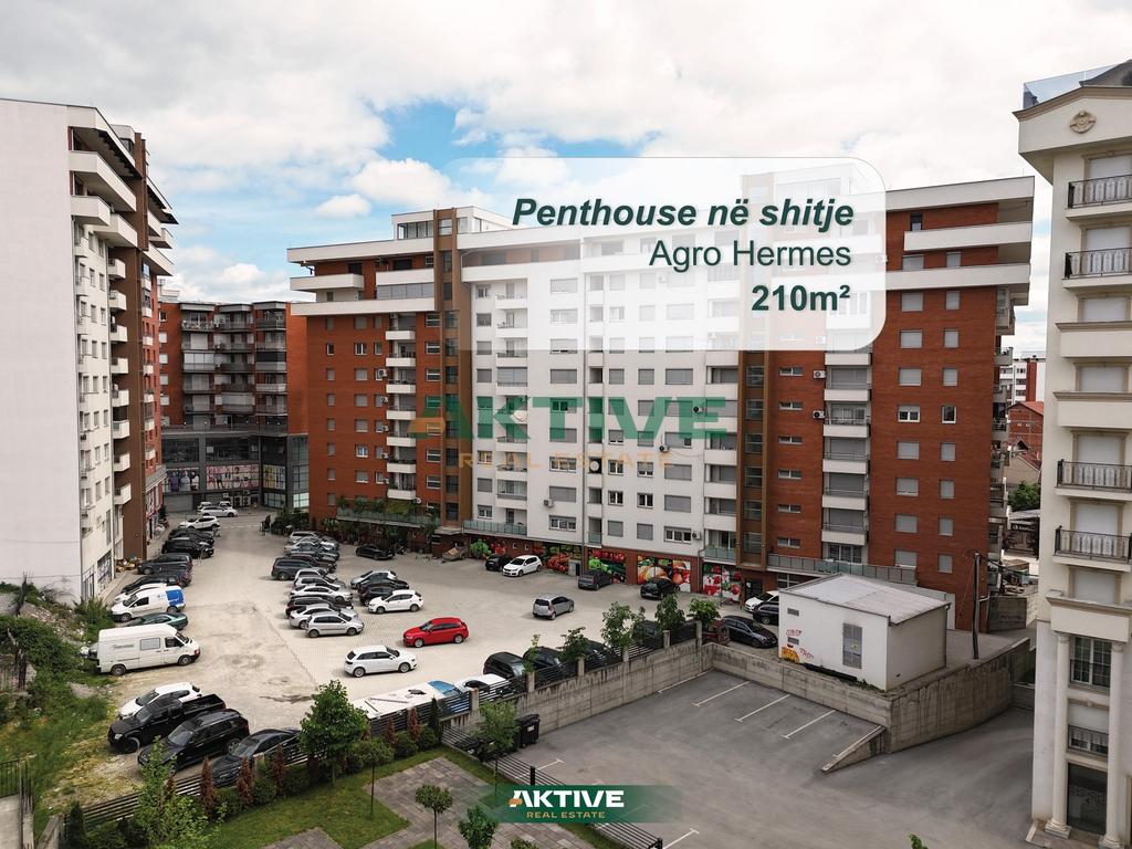 Penthouse at agro hermes 5