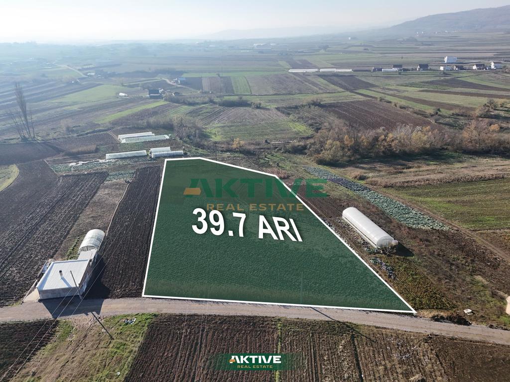 Terra em kmetoc