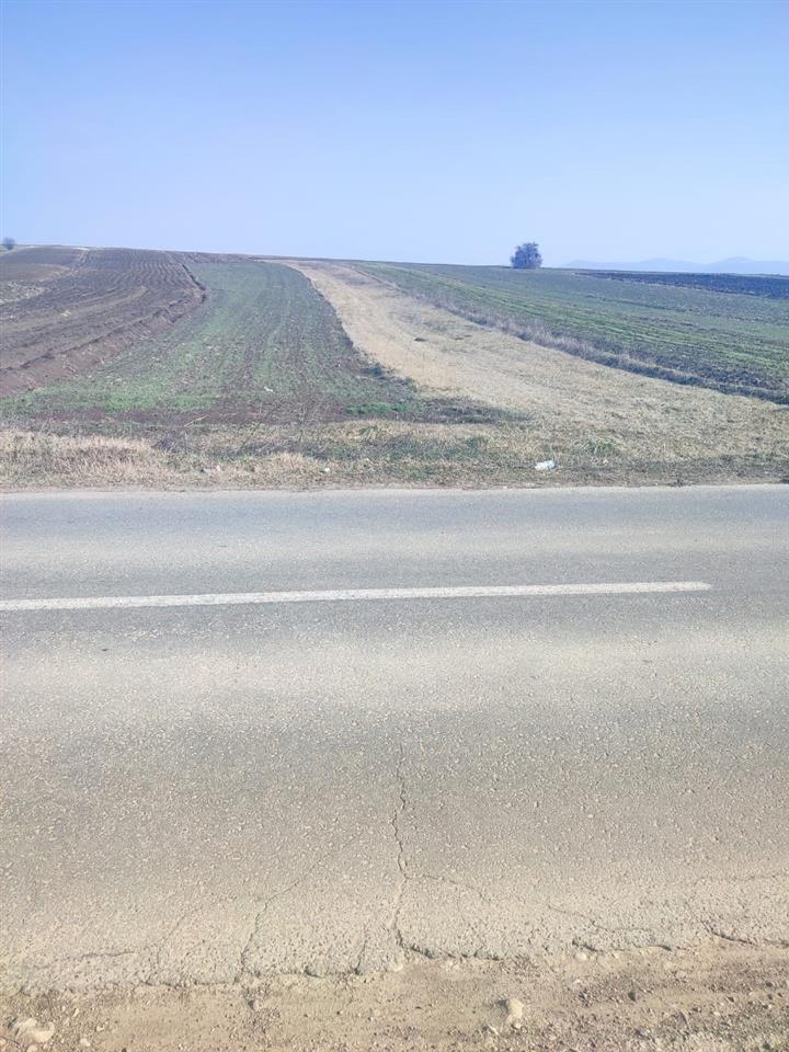 60 ari land zum verkauf in gushtericë e ulët, graqanicë gemeinde (4)
