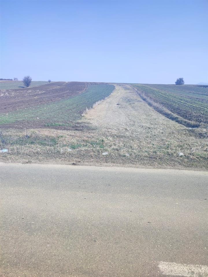 60 ari land zum verkauf in gushtericë e ulët, graqanicë gemeinde (6)
