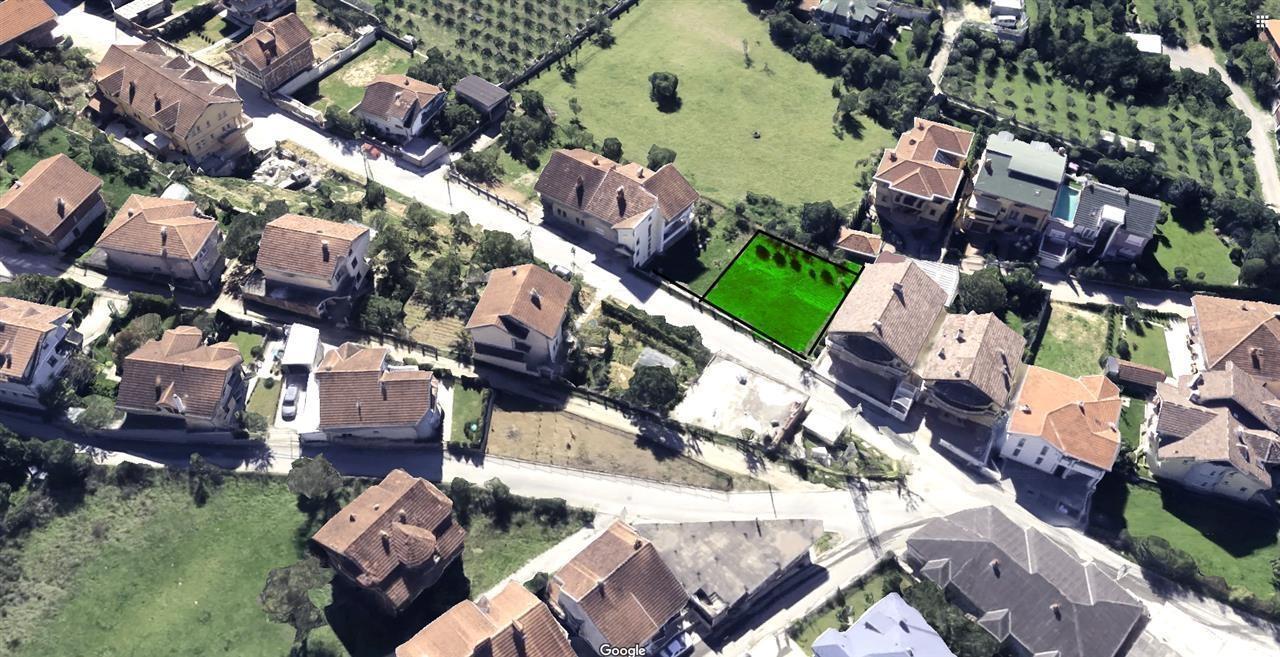 Shiten 4 ari truall afër rrugës së gërmisë