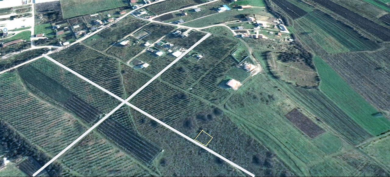 Shitet trualli 9.50 ari në livoq të ulët në Gjilan (2)