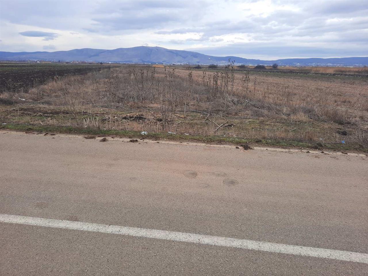 104 ar land in asfallt, lepi, Graçanicë gemeinde