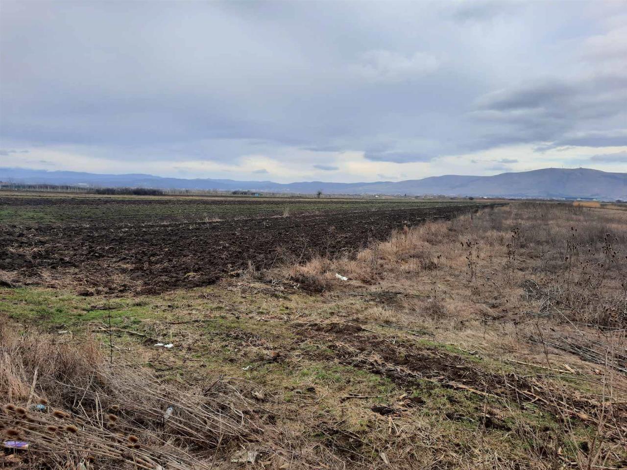 104 ar land in asfallt, lepi, Graçanicë gemeinde (4)