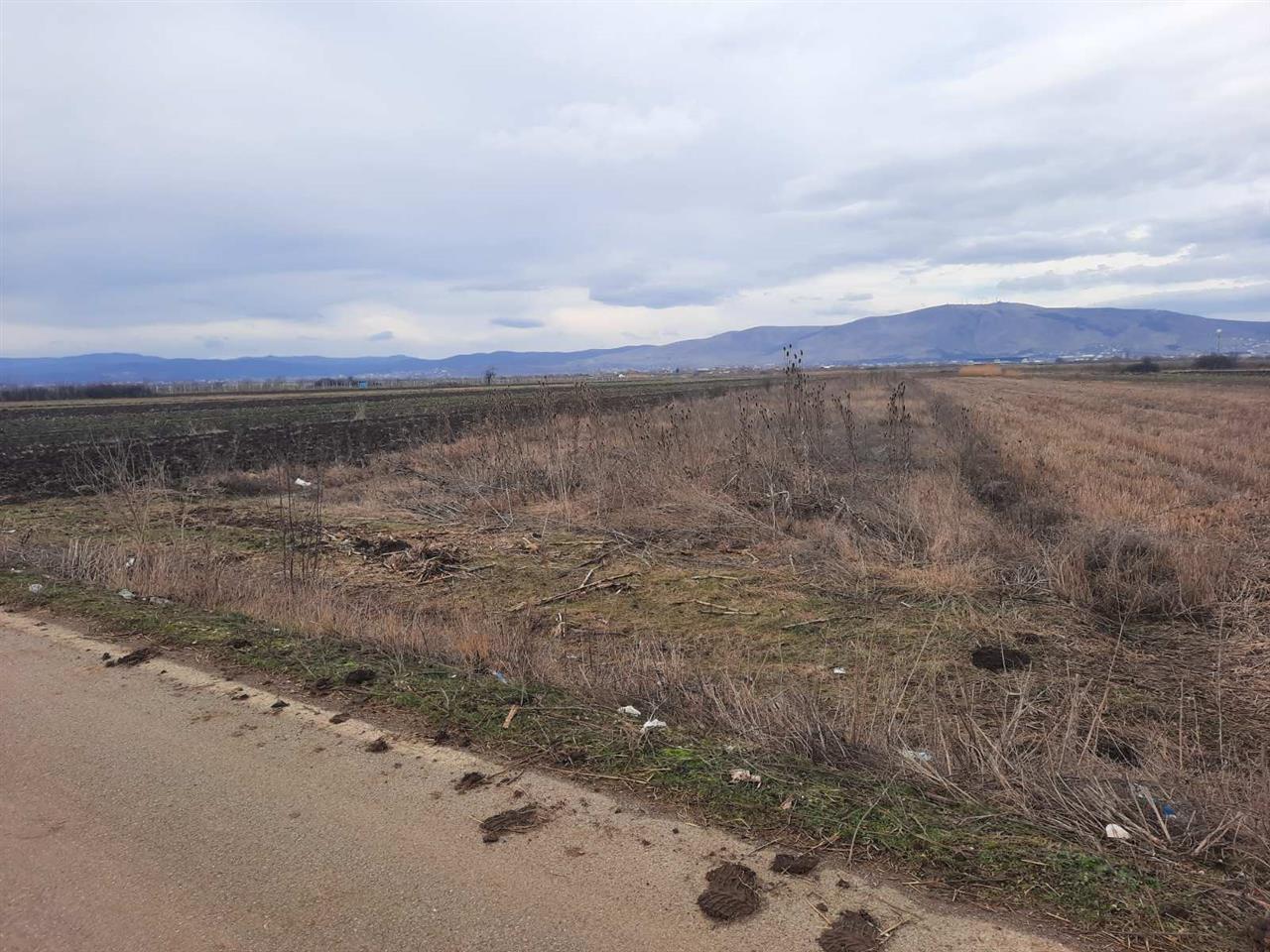 104 ar land in asfallt, lepi, Graçanicë gemeinde (5)