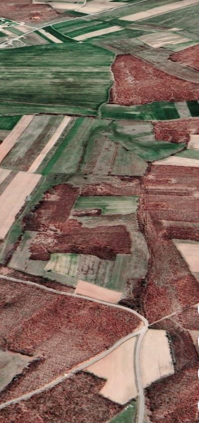 Vente de 2 hectares de terrain à begracë de Ferizaj (4)