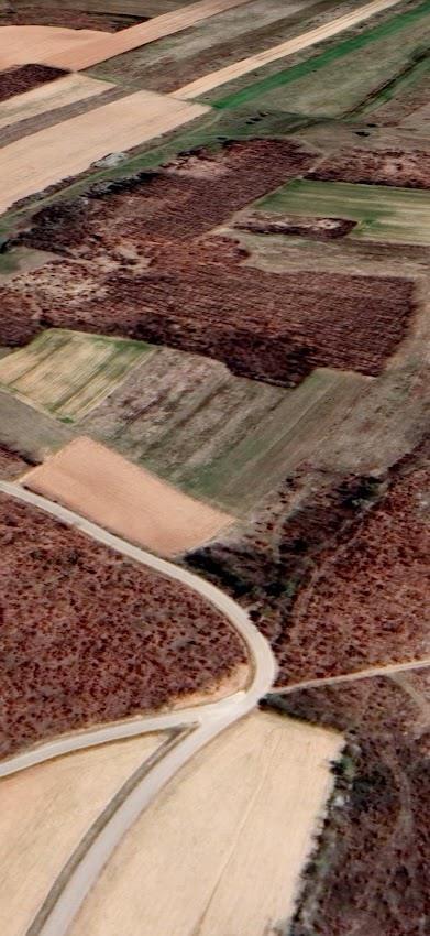 Vente de 2 hectares de terrain à begracë de Ferizaj (5)