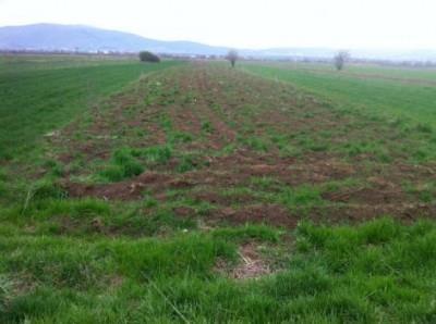 1 hektar und 14 ar land in batushë, straße nach dobrevë