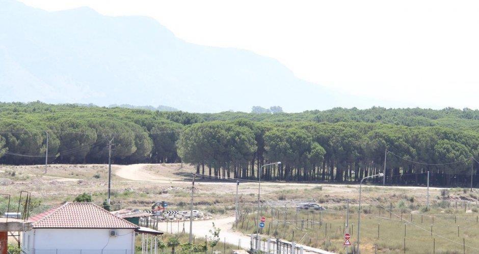 20 ar land in velipojë zu verkaufen, albanien