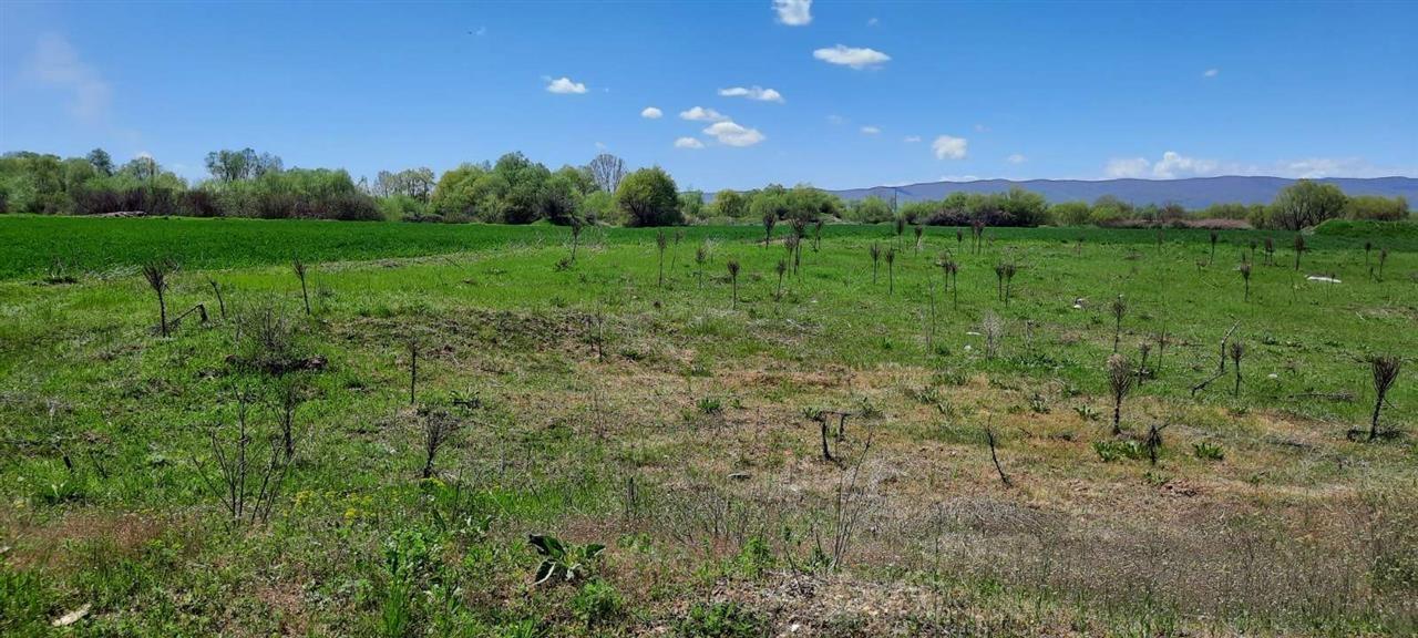 Shiten 3 hektarë e 34 ari tokë në raskovë, komuna e obiliqit