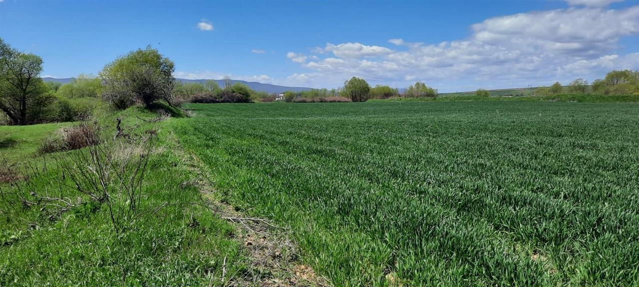 Shiten 3 hektarë e 34 ari tokë në raskovë, komuna e obiliqit