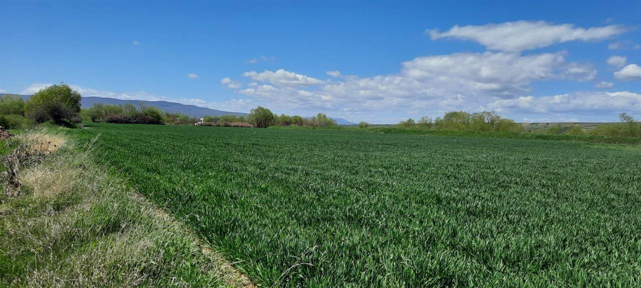Shiten 3 hektarë e 34 ari tokë në raskovë, komuna e obiliqit