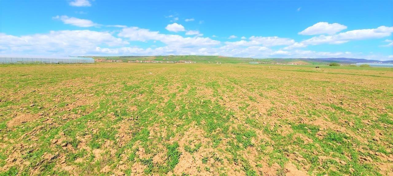 66,19 ari di terreno in vendita a raskovë, comune di Obiliq