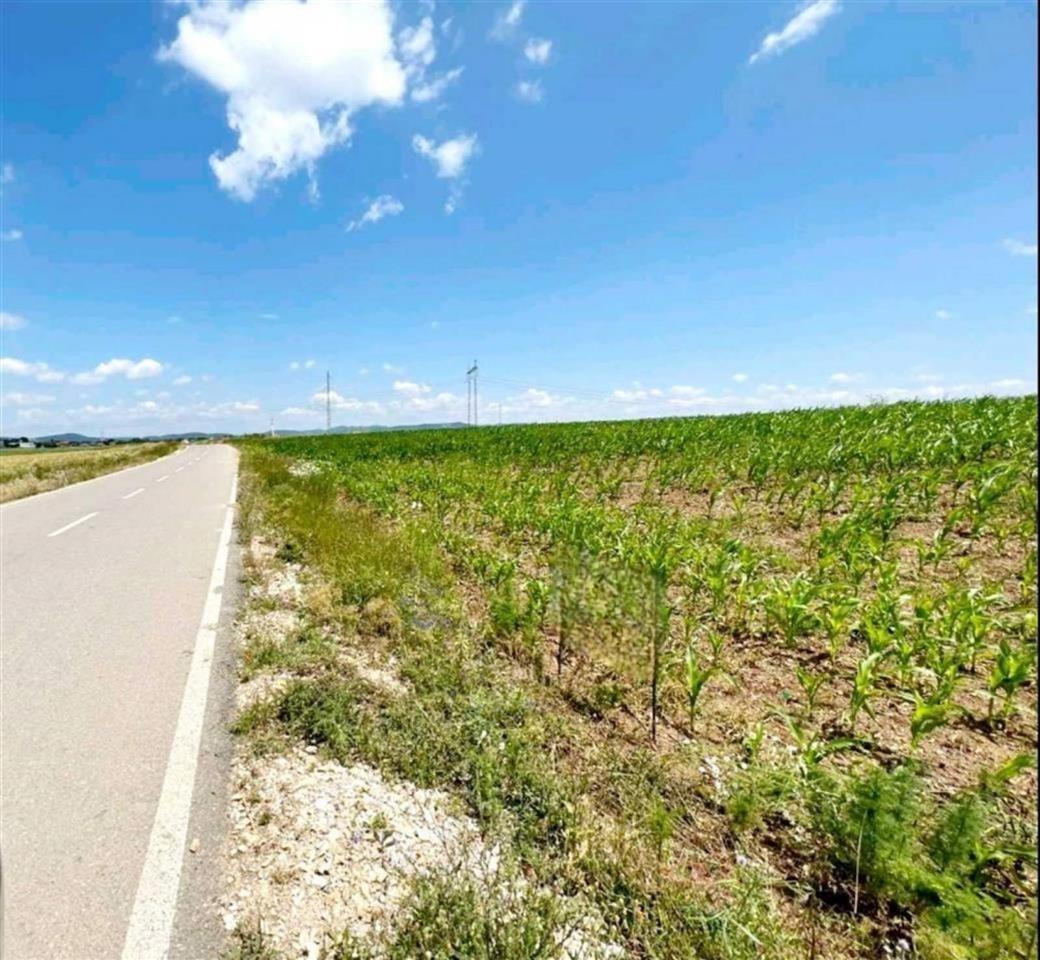80 are di terreno in vendita a milloshevo, comune di Obiliq