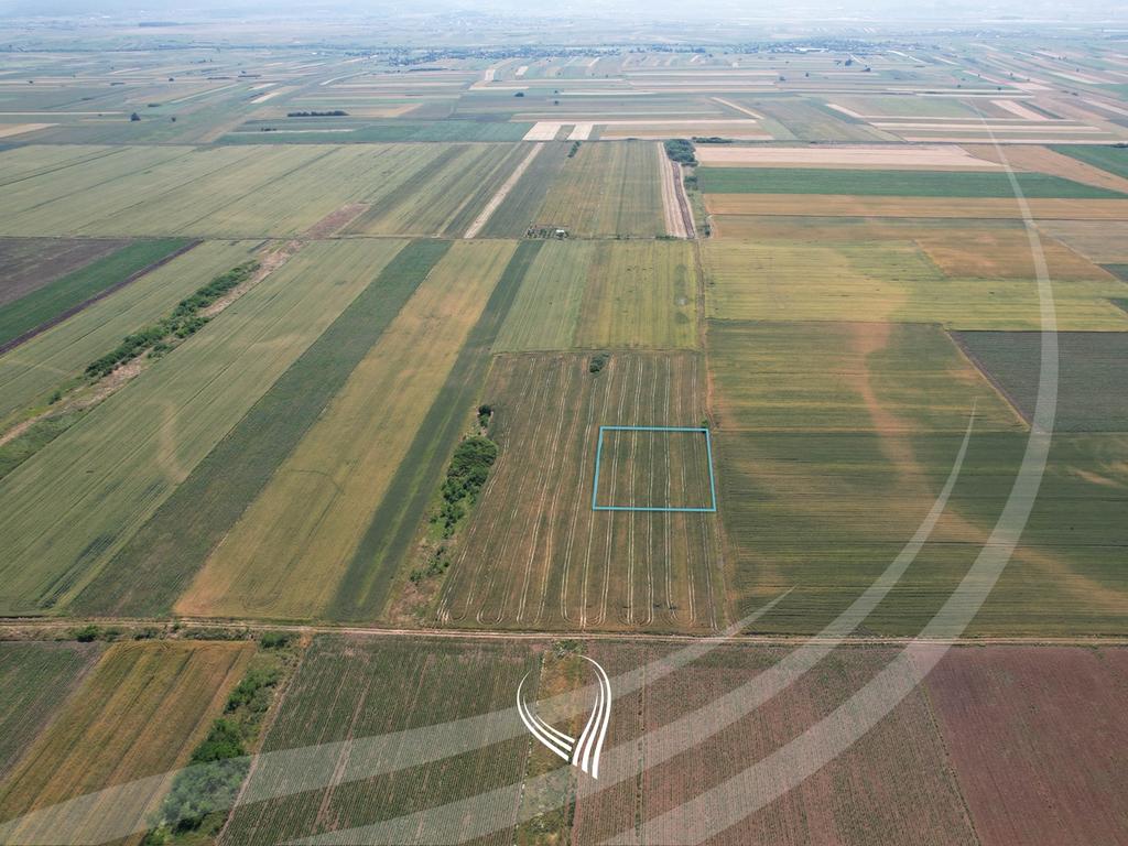 Terreno di 55,27 ari in vendita a suhadoll – Graçanicë (5)