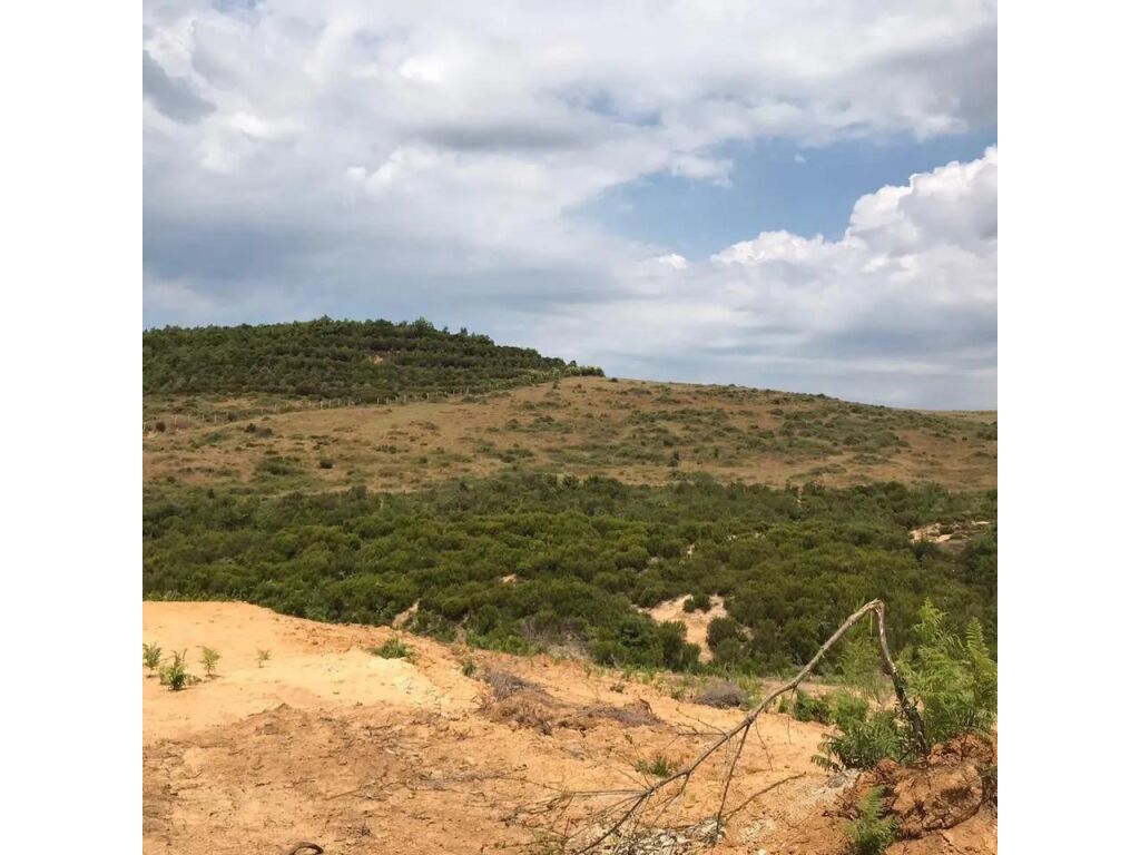 Land for sale, tapize