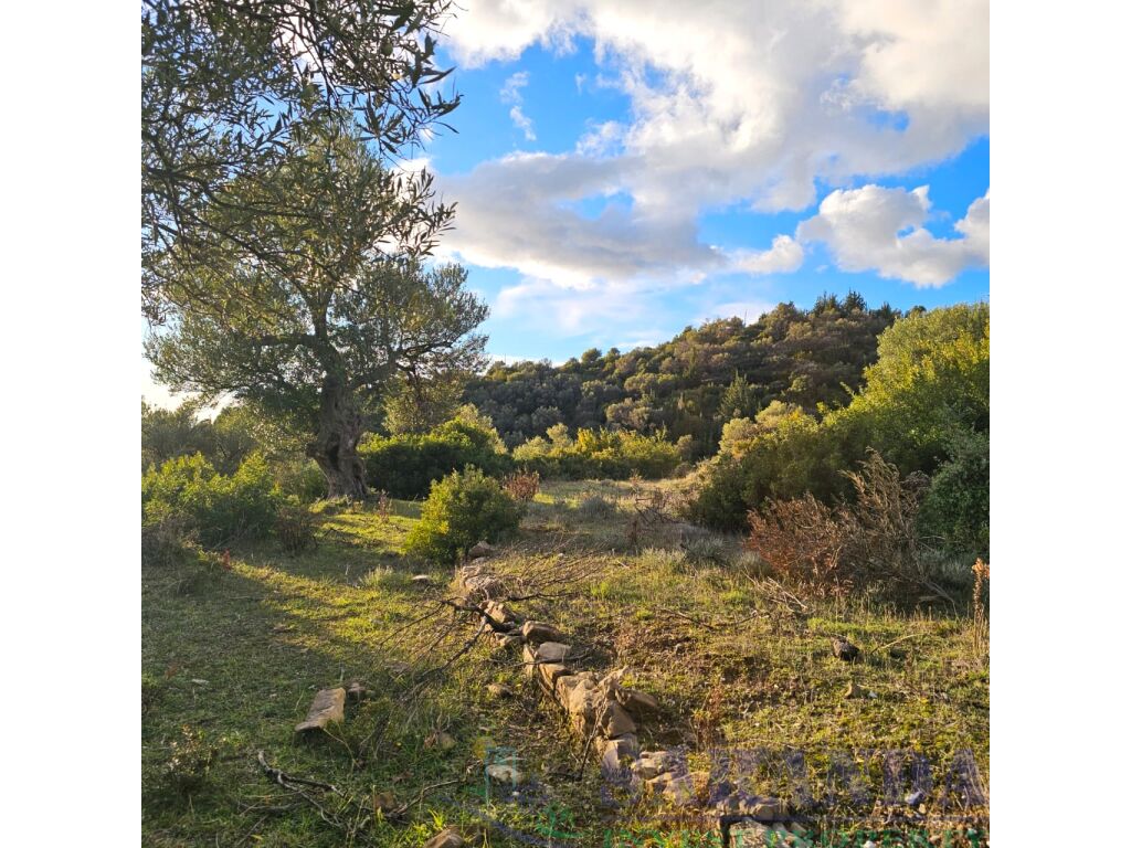 Terreno in vendita a bunec, albania