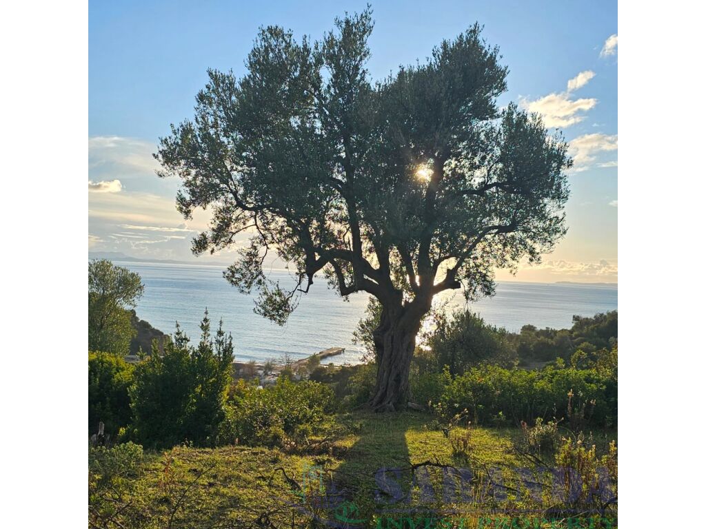 Terreno in vendita a bunec, albania