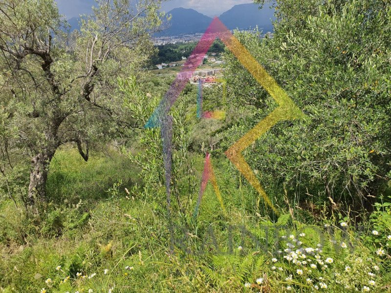 Grundstück zum verkauf in der Tirana-see-region — Rainbow - real estate albania