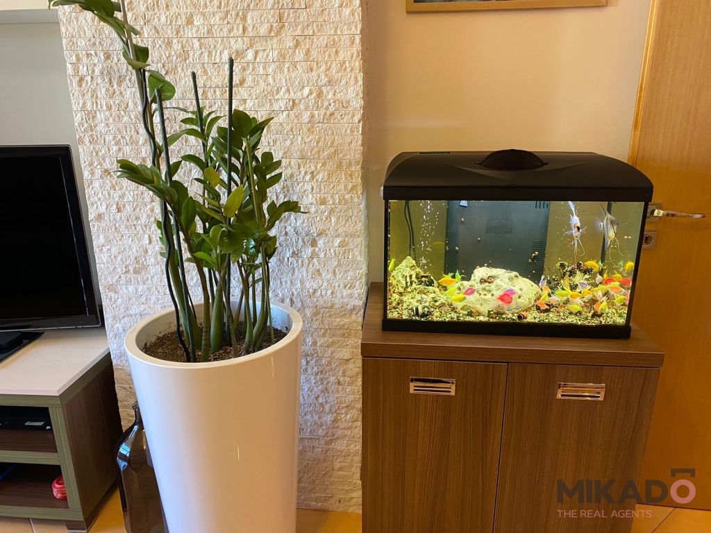 Apartment zum verkauf 1+1 in durres! (2)
