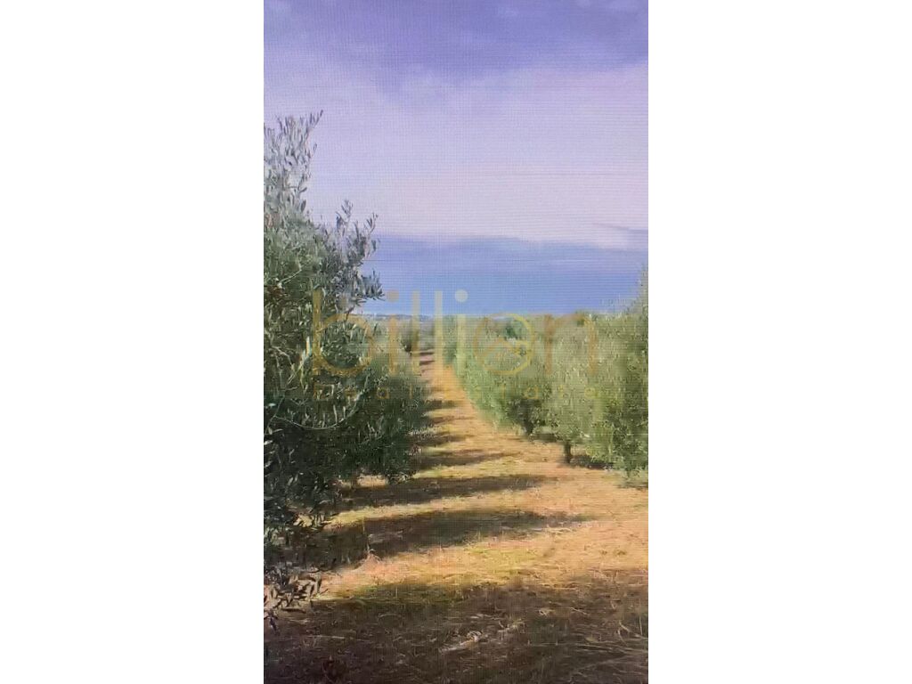 Land zu verkaufen in durres