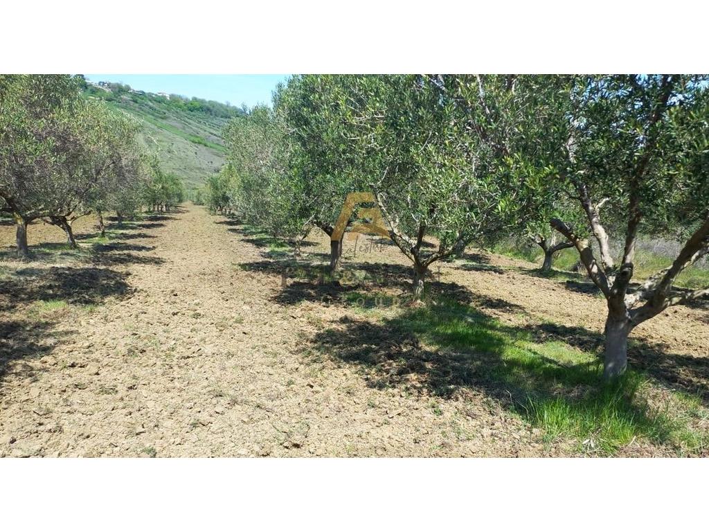 Not to be missed 10,000 square meters property for sale!