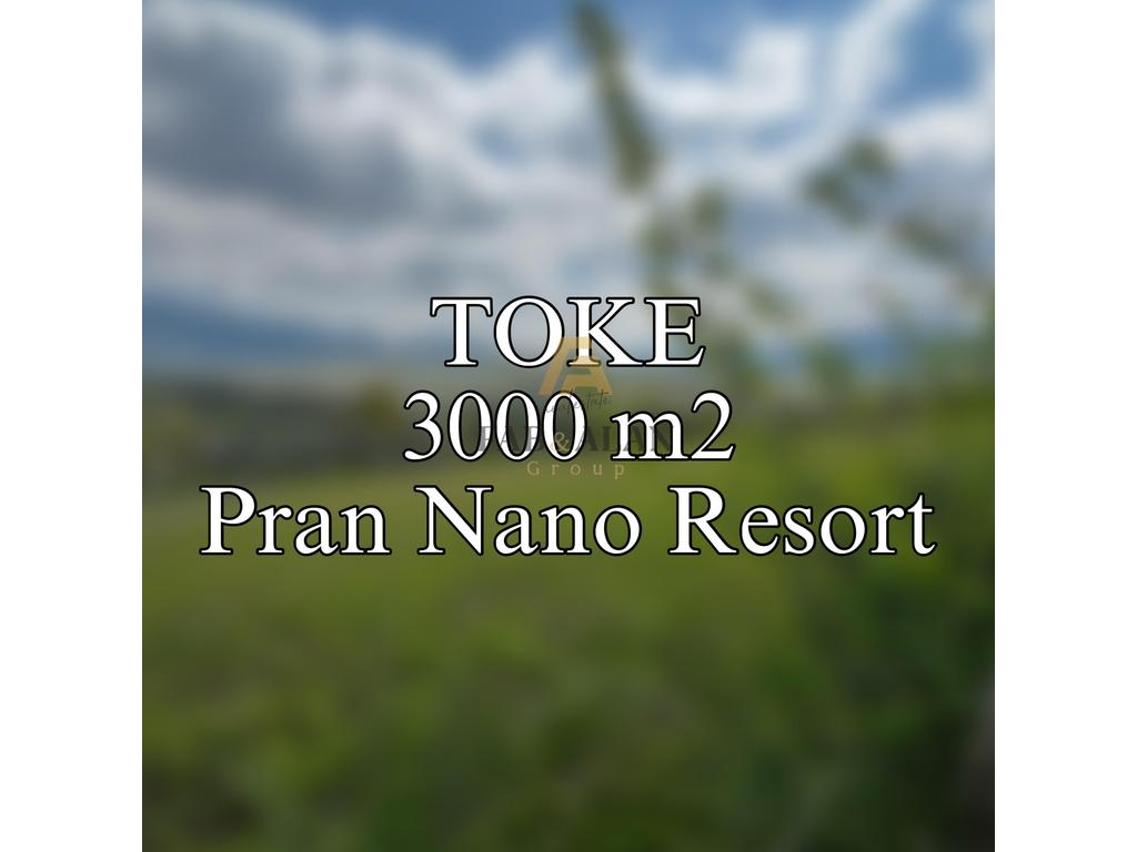 Toke 3000 metri quadrati a gurrë te madhe vicino a nano resort!