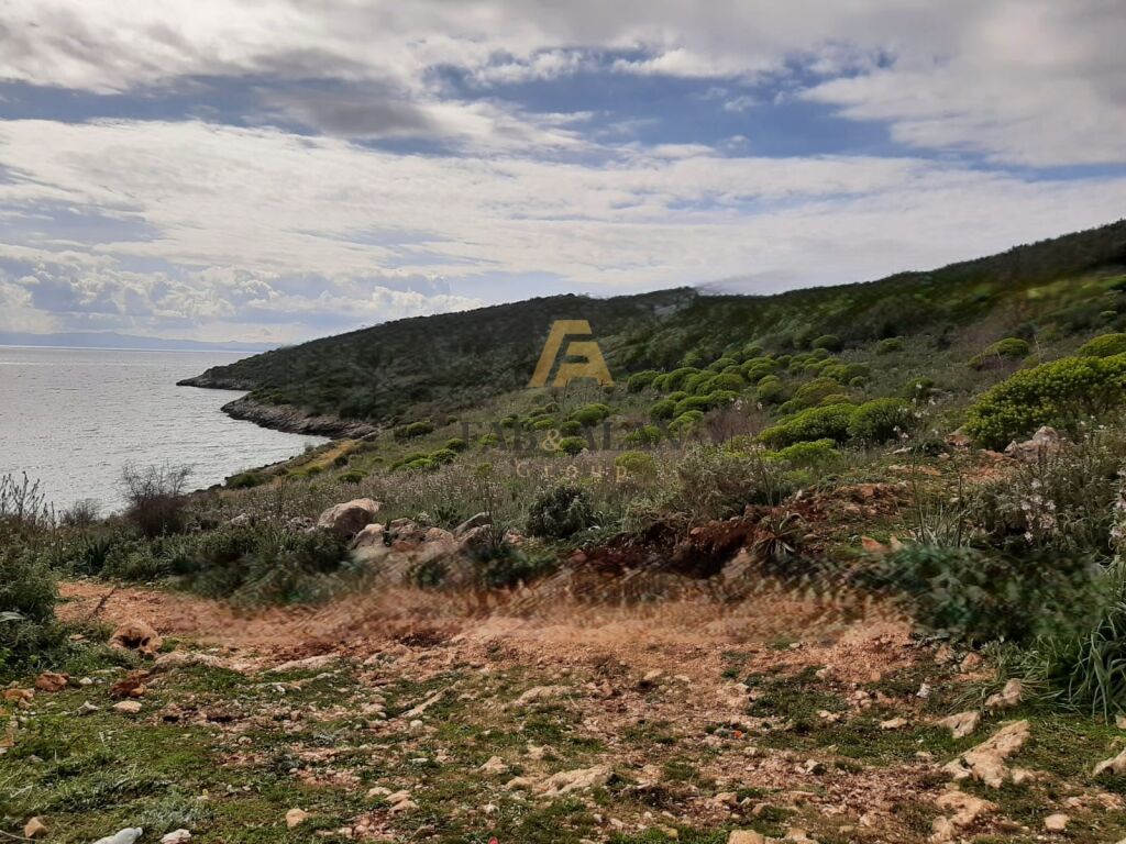 Ne qeparo, himare toke 10.500 metra katror per shitje shume prane detit!