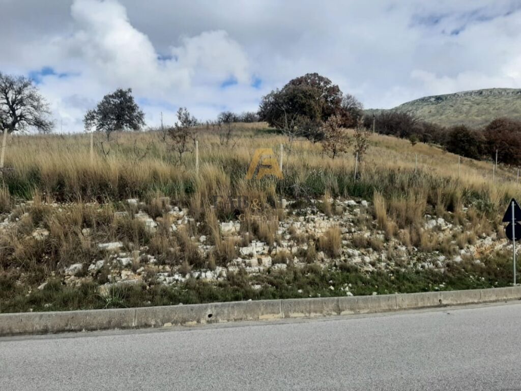 Ne qeparo, himare adquiere 11,500 metros cuadrados ¡en venta!