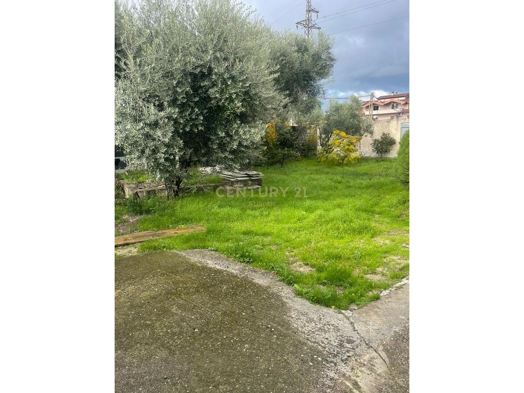 Negozio in vendita a shkozet, 1332 m²!