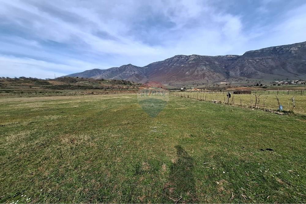 Terreno in vendita tragjas, Vlorë (4)