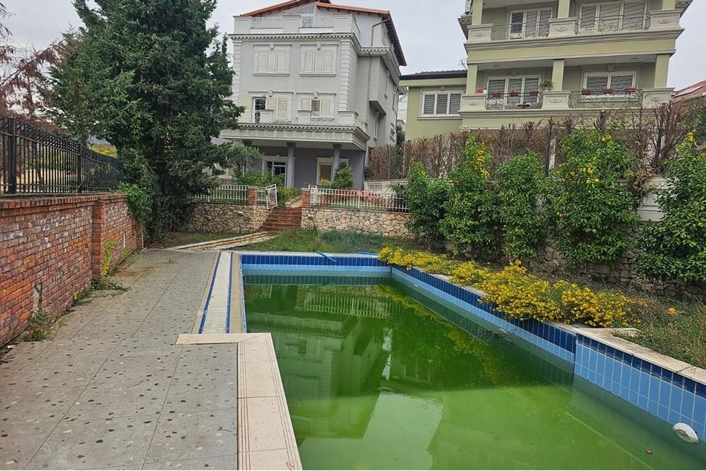Mjull bathore vicino a tulipan residence