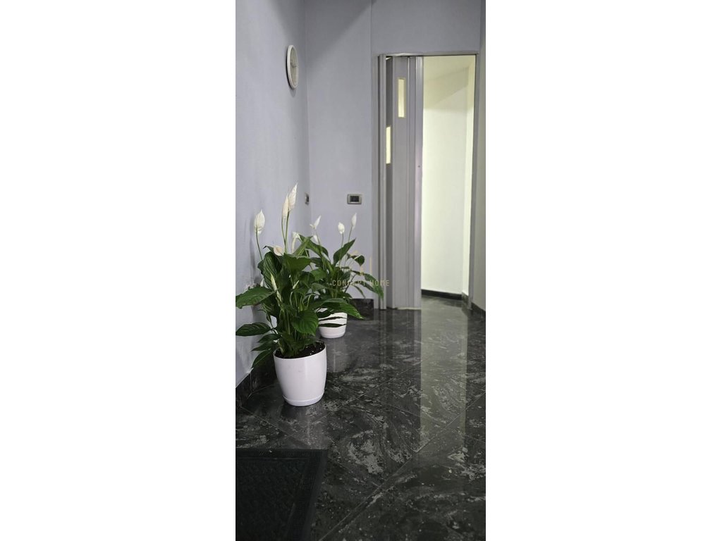 Apartment 1+1 for rent, dibres street