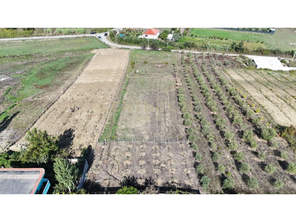 Grundstück zum verkauf in arapaj, Durrës - 22.000 € | 500 m²