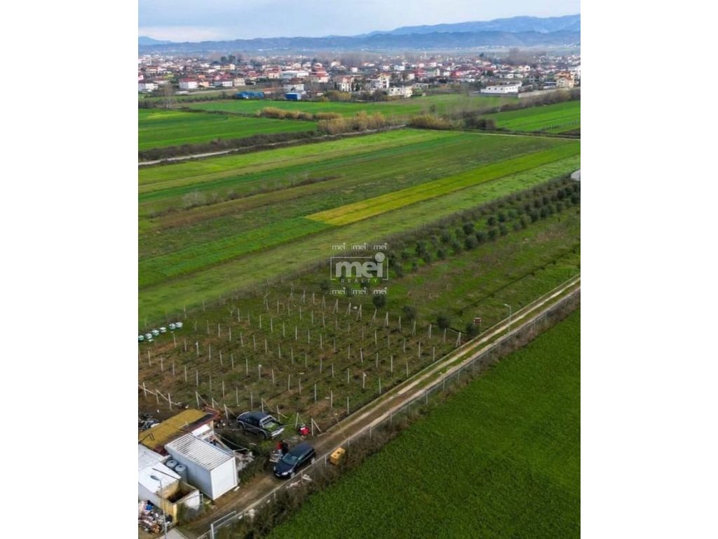 Ferme à vendre à sallmone, shijak!