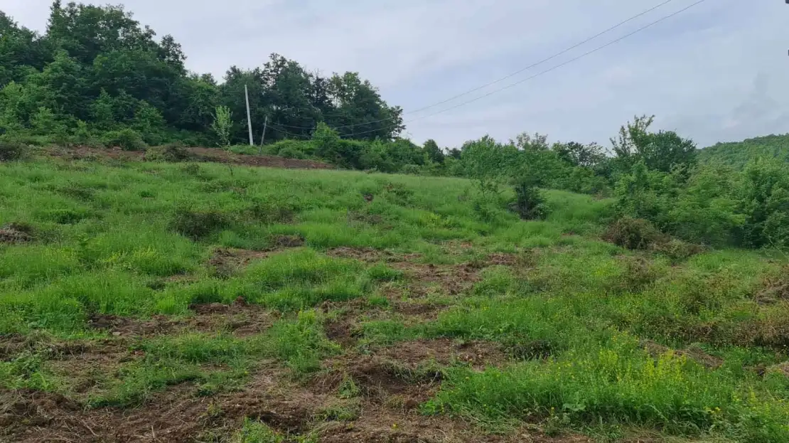 Land 2 hectares in marec