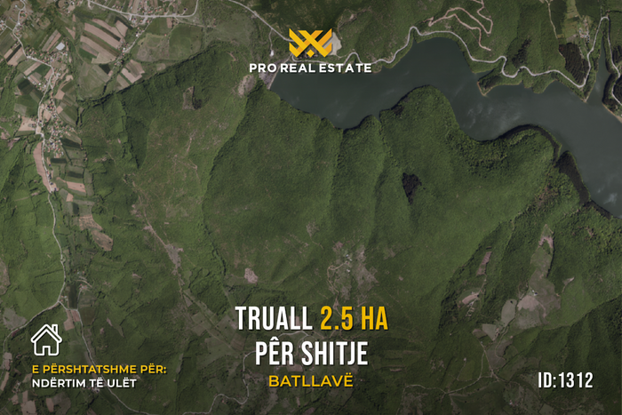 Terreno di 2,5 ha in vendita a batllavë