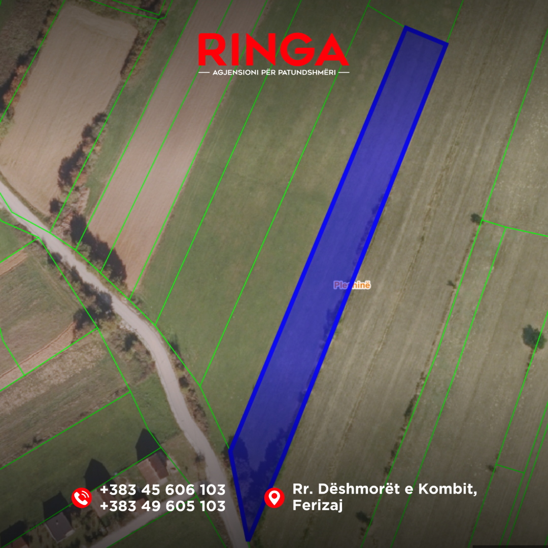 Ringa (grundstück zum verkauf in zk pleshine) 29/26