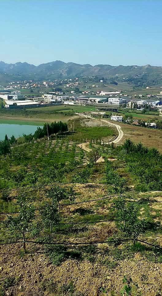 Fermë frutikulture pranë tiranës