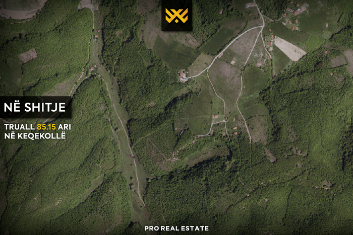Terrain de 85,15 ari à #vente à keqekollë