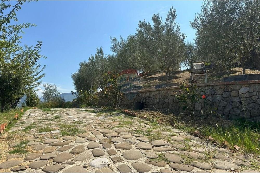Super villa para alugar, berzhitë