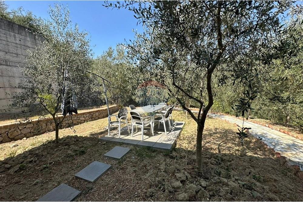 Super villa para alugar, berzhitë