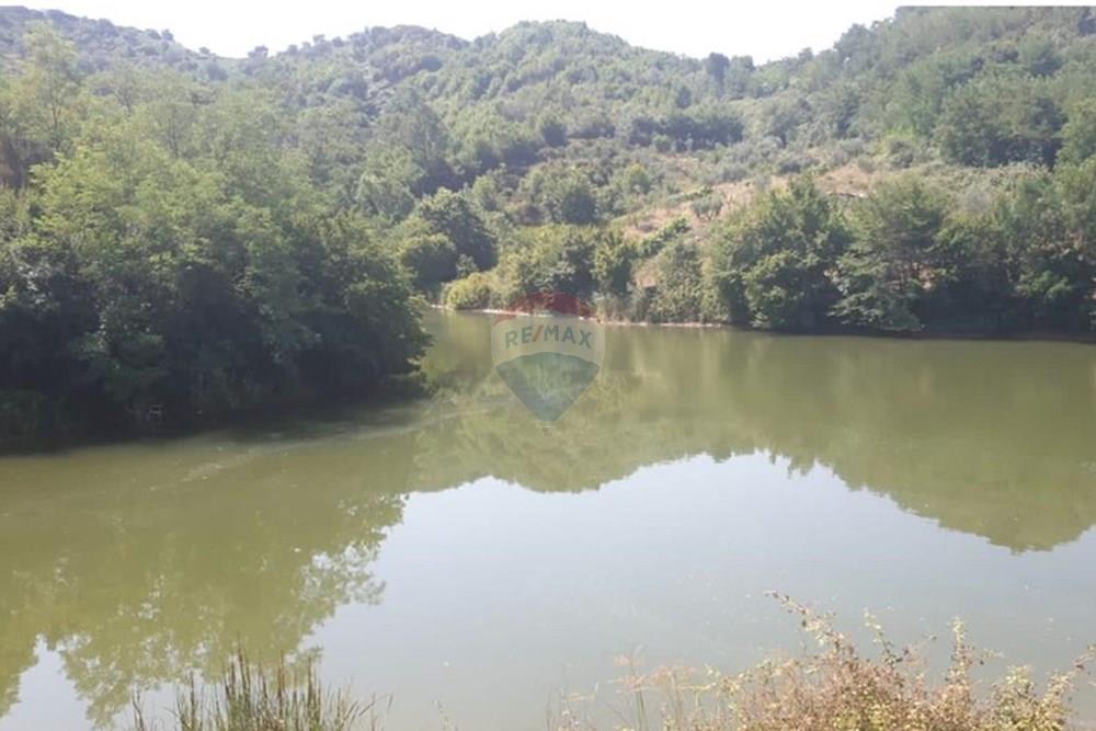 Shitet 21,000 m 2 tokë në marqinet, vorë.