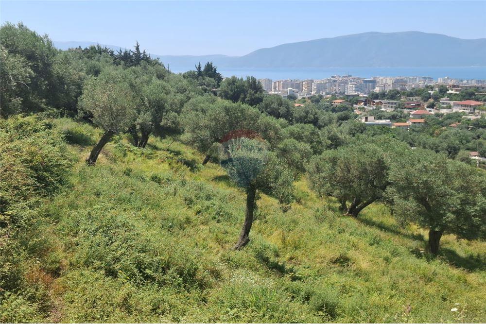 Terrain à vendre – Kuzum baba, Vlorë | 1000 m² oliveraie avec vue sur la mer
