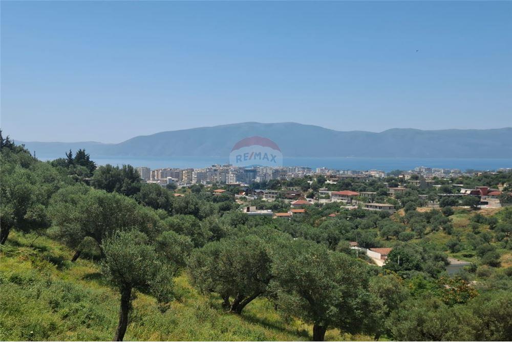 Terrain à vendre – Kuzum baba, Vlorë | 1000 m² oliveraie avec vue sur la mer (3)